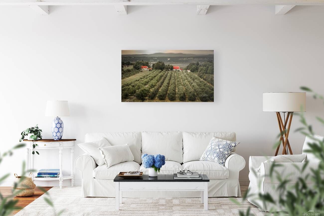 Cider Vinyard Ile d’Orleans Quebec Canada Reproduction