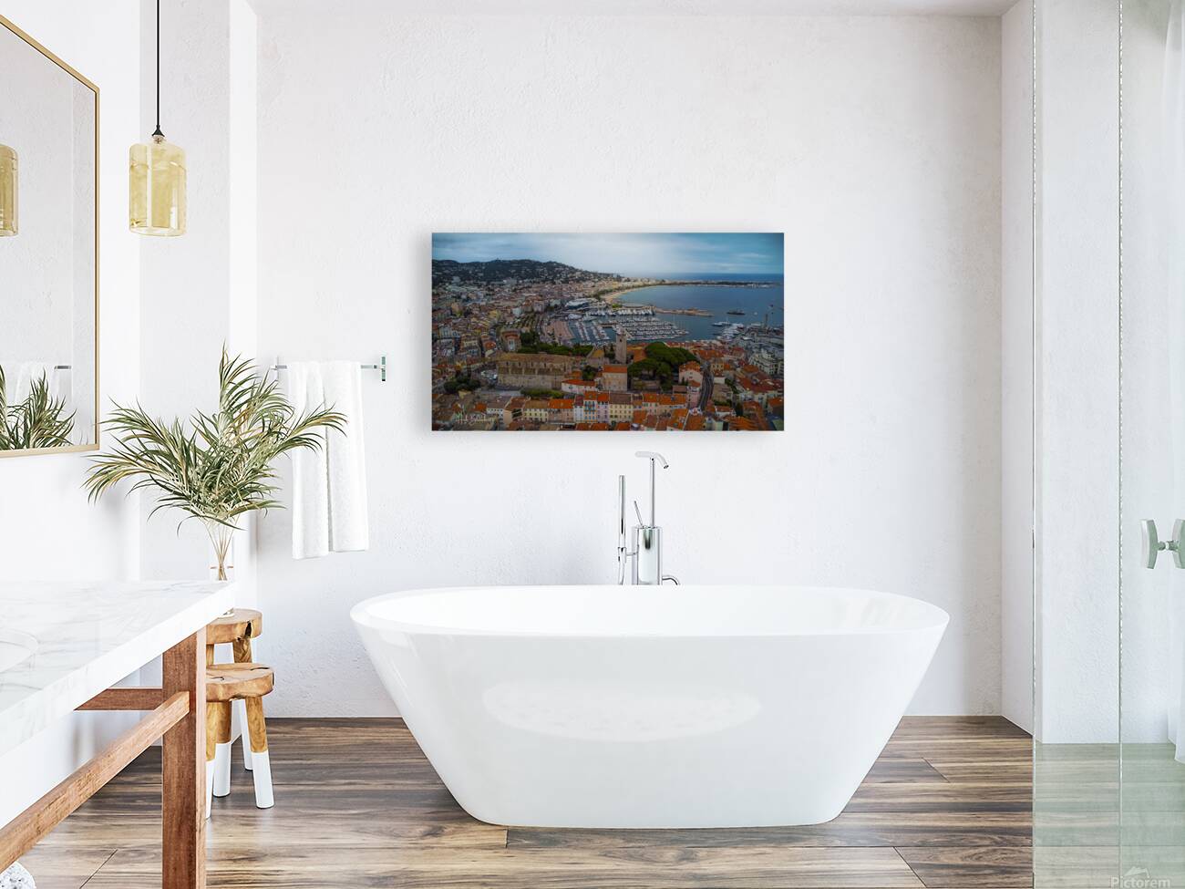 Cannes France Reproduction