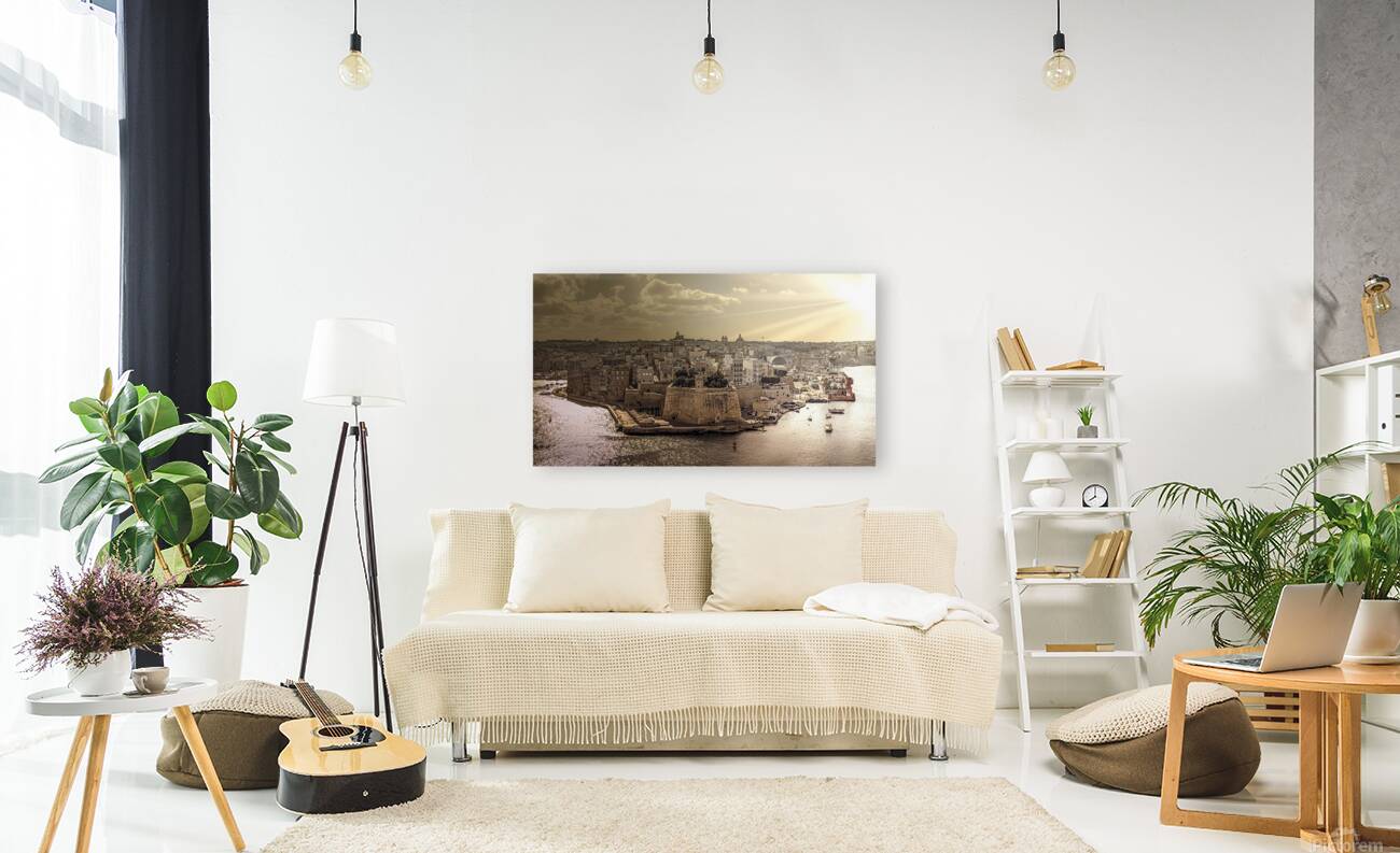 Malta Spain Reproduction