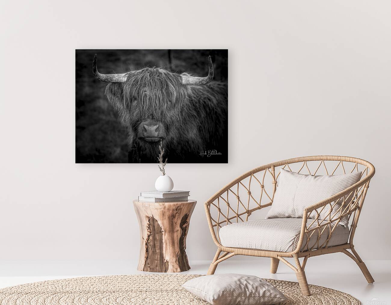 THE HIGHLAND COW SCOTLAND UK Reproduction