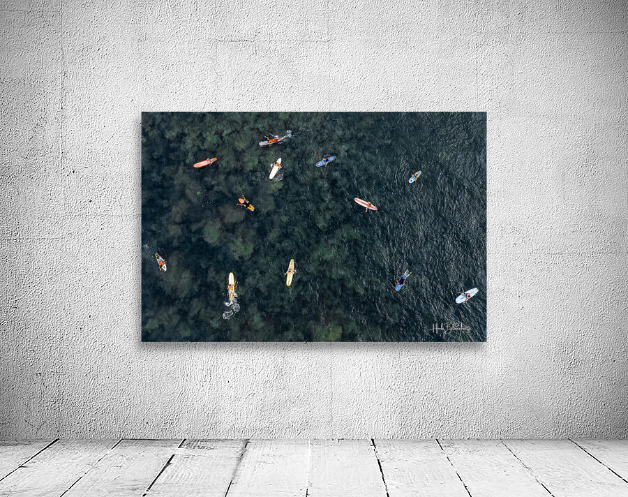 Patiently Waiting Sayulita Mexico Wall Preview