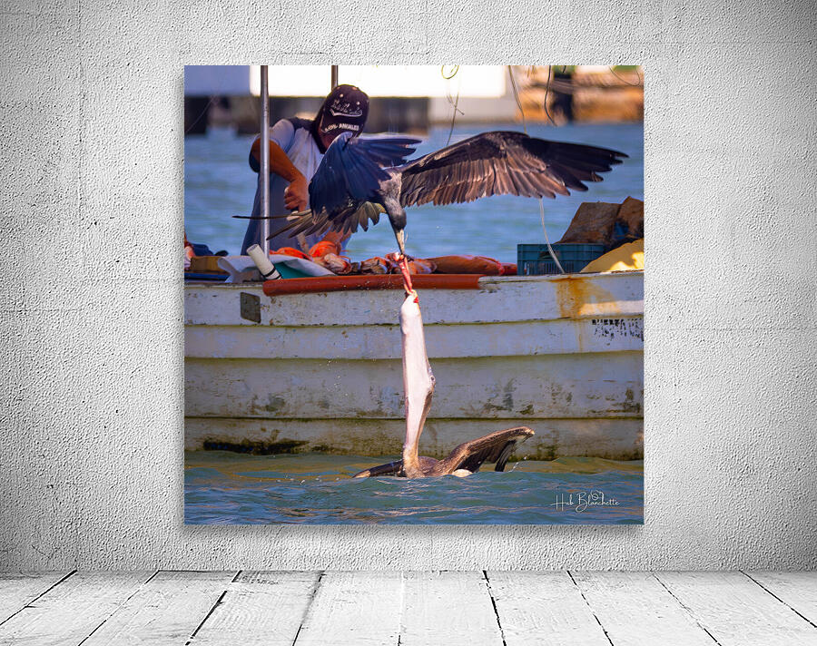 Daily Struggle Puerto Vallarta Wall Preview