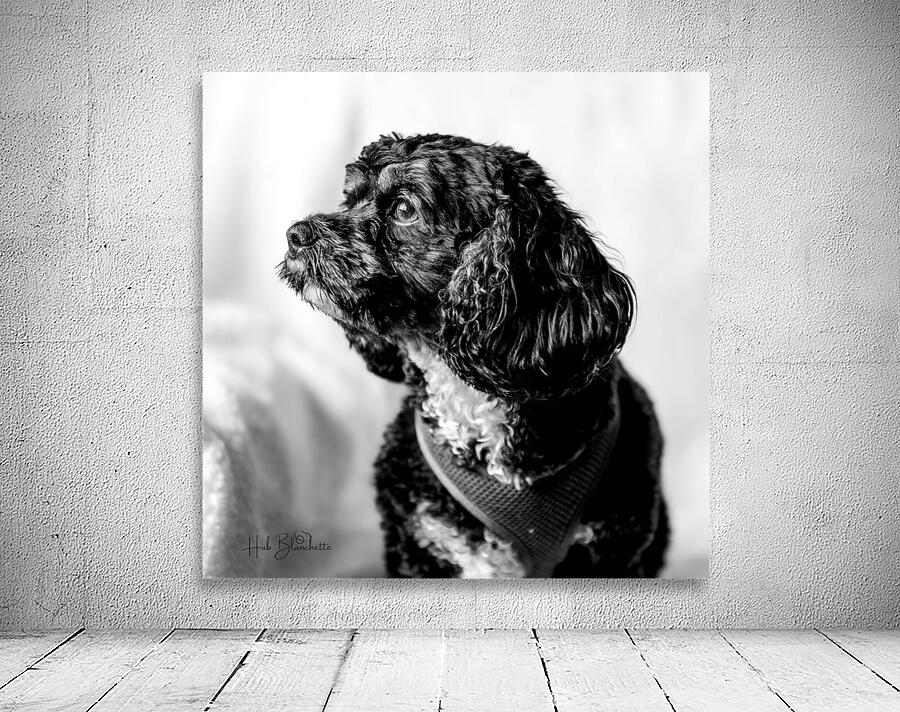 Little Daisy  Wall Preview