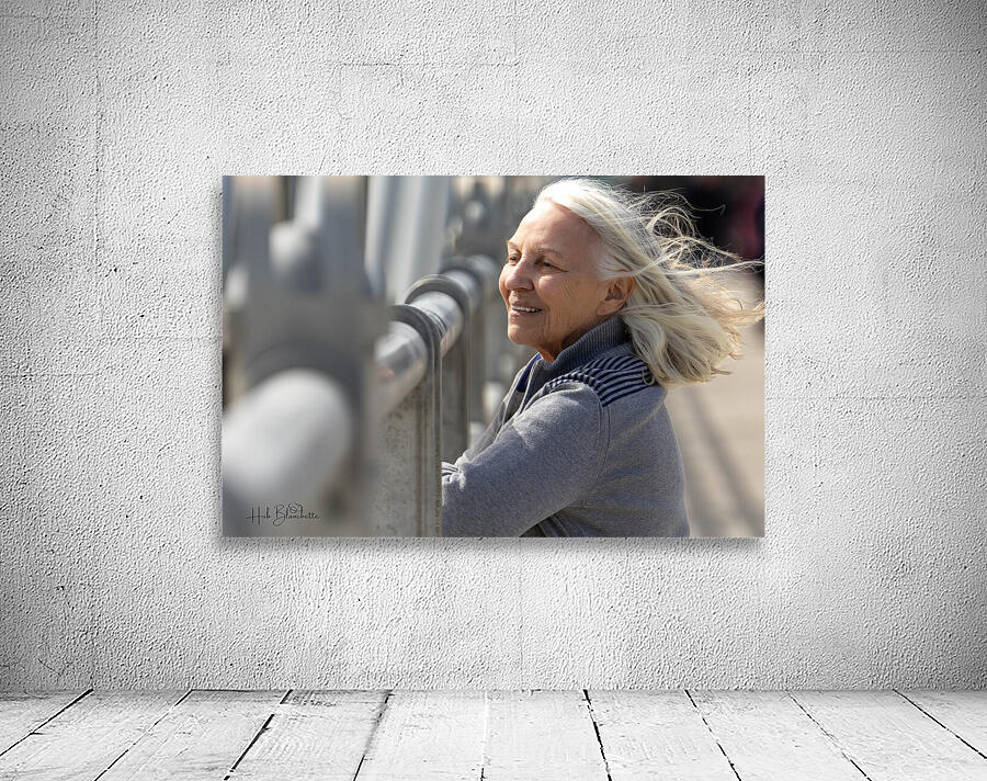 Beautiful Summer Day Winnipeg Manitoba Wall Preview