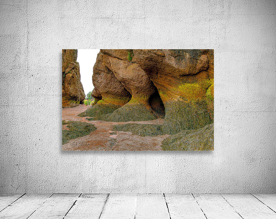 Low Tide Hopewell New Brunswick Canada Wall Preview