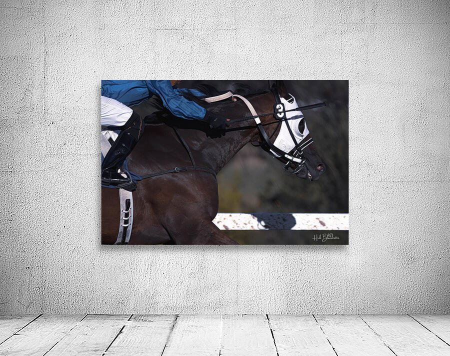 I Can See The Finish Line Assiniboia Downs Winnipeg Manitoba Canada Wall Preview