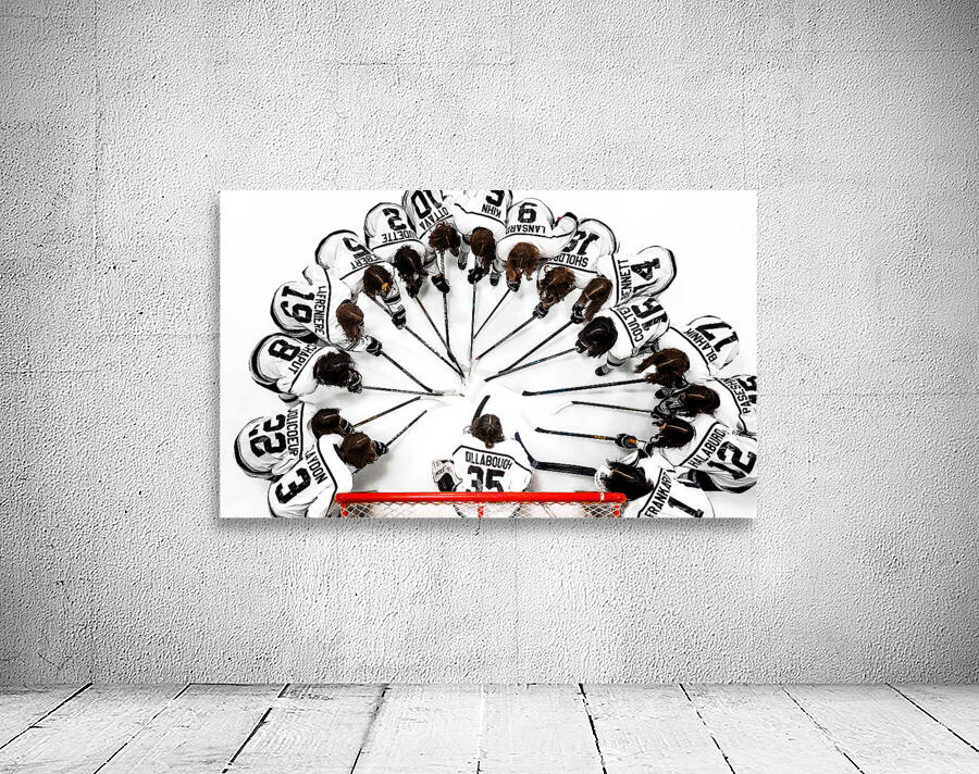 U15 Female Shark Team Photo Wall Preview