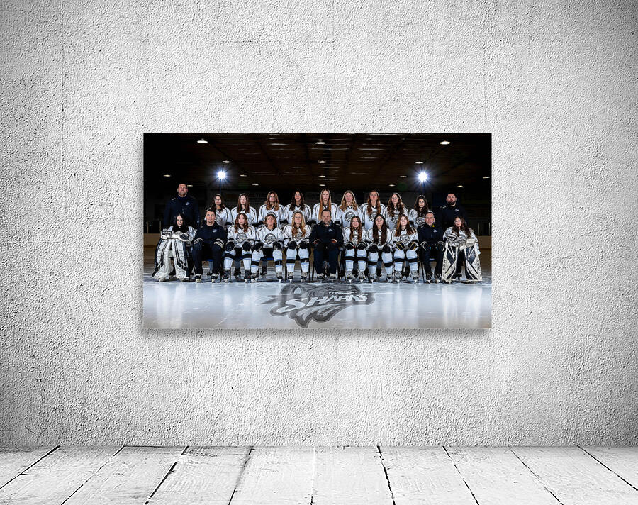U15 Female Shark Team Photo Wall Preview