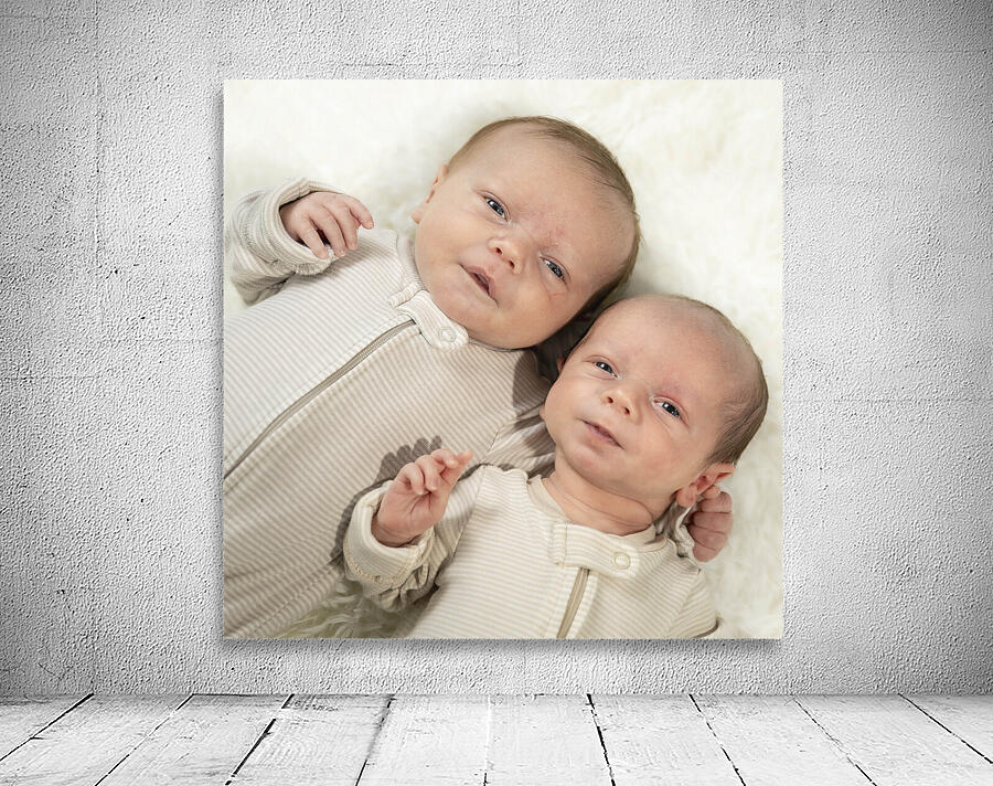 Fraternal Twin Boys Wall Preview