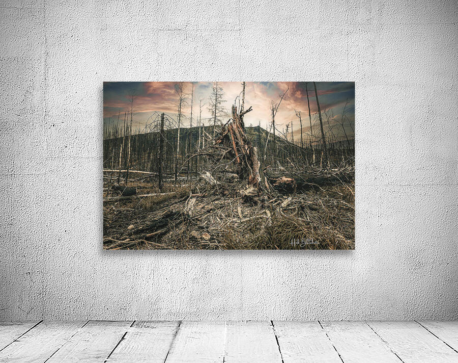 Wild Fires Whistler Campground In Jasper Alberta Canada Wall Preview