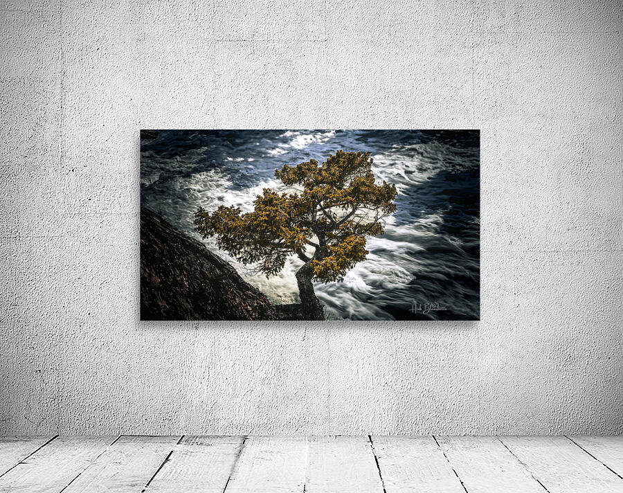 Watching Over Bow River Banff Alberta Canada Wall Preview