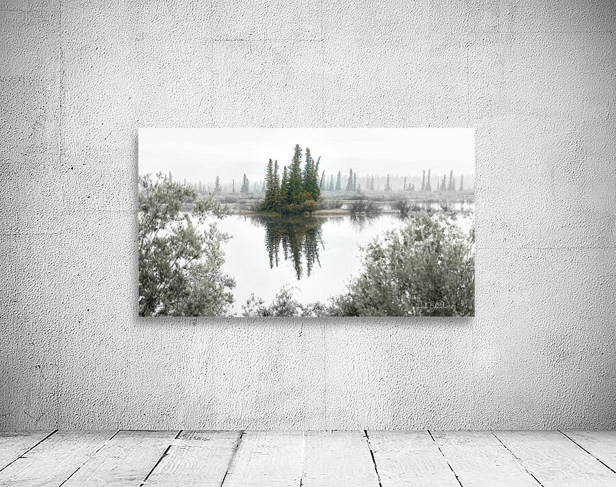 Foggy Eerie Morning in Jasper Alberta Canada  Wall Preview