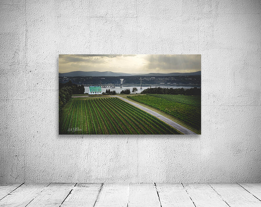 Vignoble Ste-Petronille Ile d’Orleans Quebec Canada Wall Preview