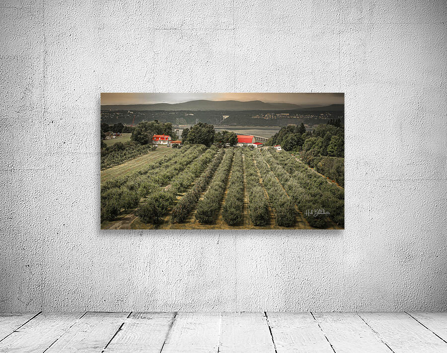 Cider Vinyard Ile d’Orleans Quebec Canada Wall Preview