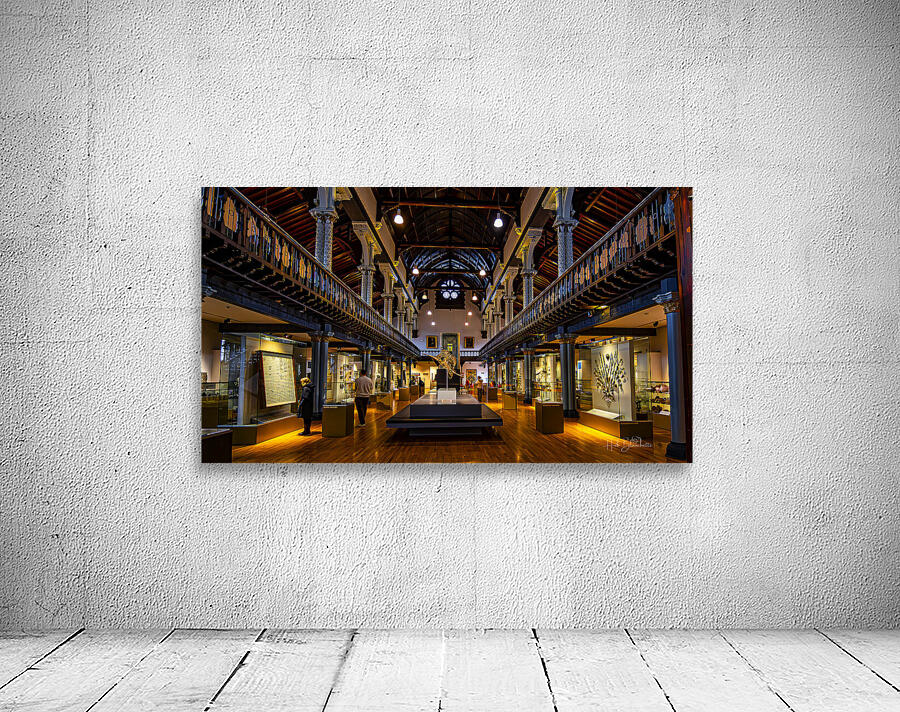 Hunterian Museum The Great Hall Glasgow Scotland UK Wall Preview
