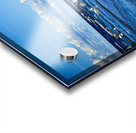 Birds Of The Blue    I Acrylic print