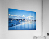 Birds Of The Blue    I Acrylic Print