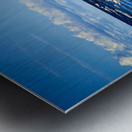 Birds Of The Blue    I Metal print