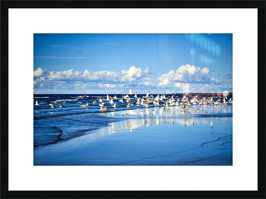 Birds Of The Blue    I Picture Frame print