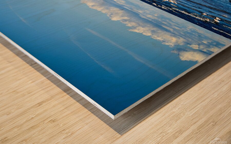 Birds Of The Blue    I Wood print