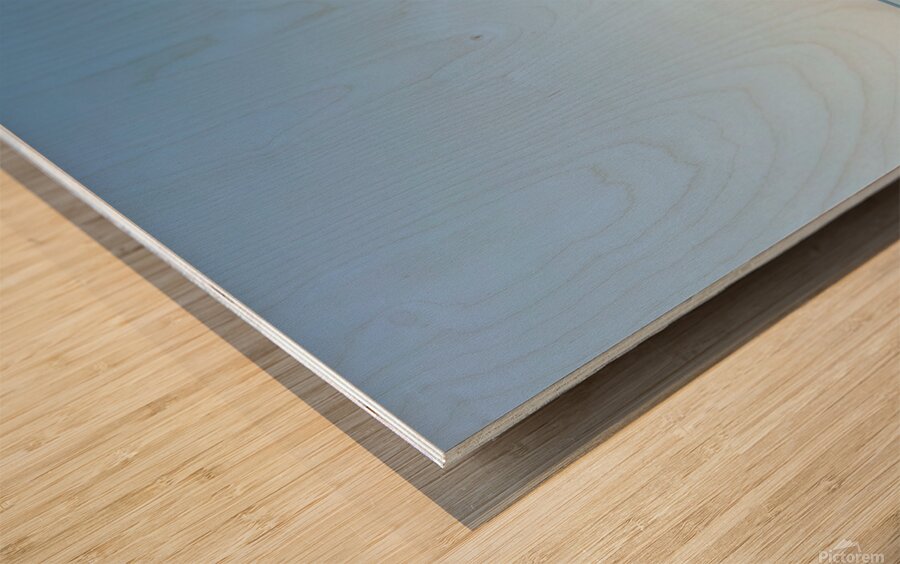 The Horizen Wood print