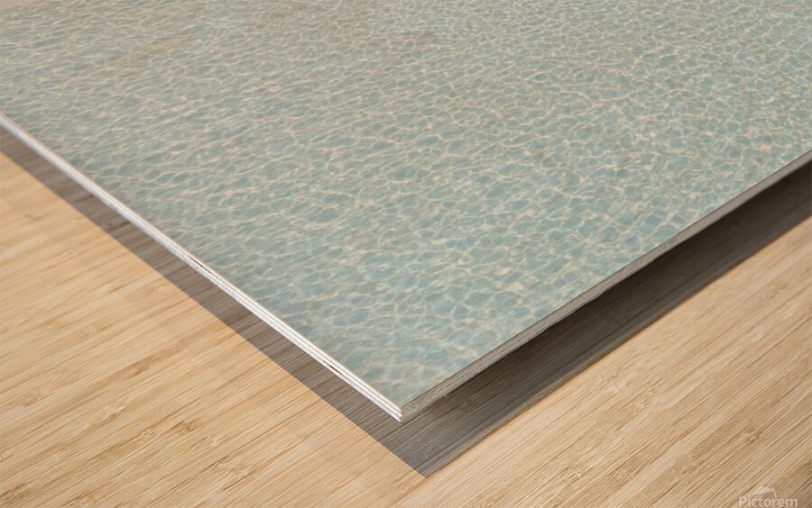 Clear Water Wood print