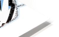 Utah Mammoth 9 HD Metal print