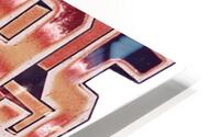 Washington Capitals 9 HD Metal print