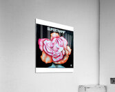 Supertramp 34 Acrylic Print