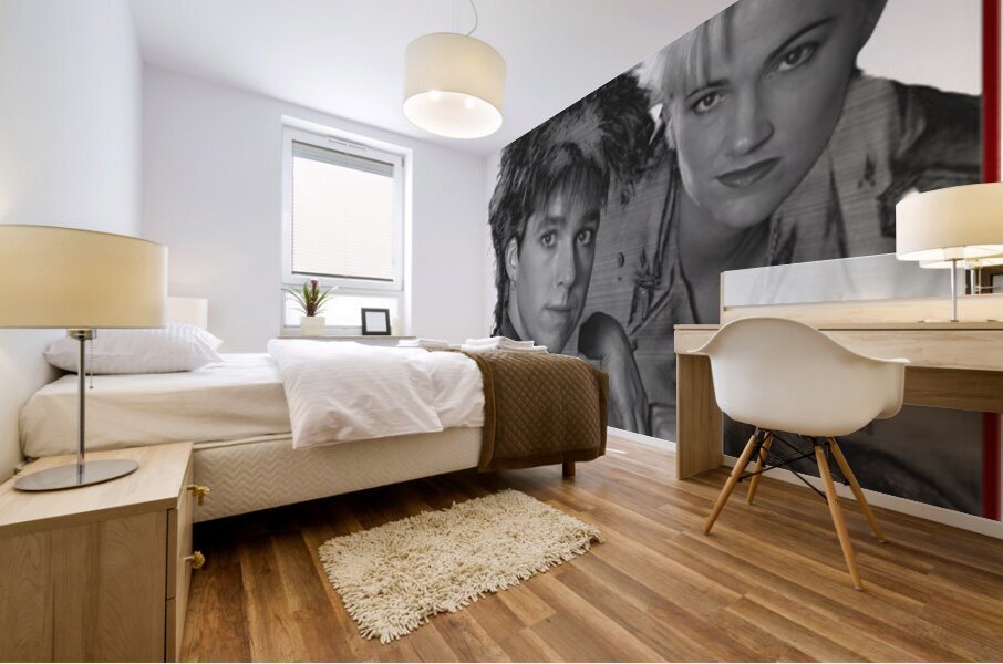 Roxette 19 Mural print
