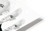 Roxette 7 HD Metal print