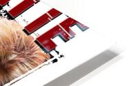 Roxette 48 HD Metal print