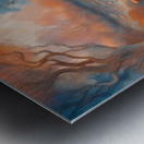 On the Pond 1 Metal print