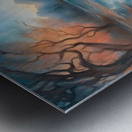 On the Pond 5 Metal print