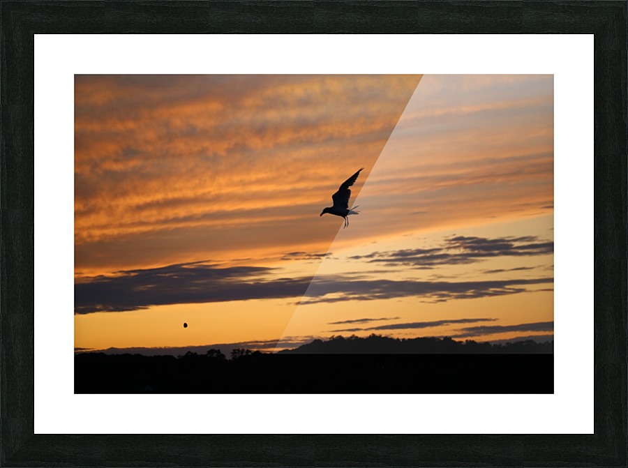 Evening_Catch Picture Frame print