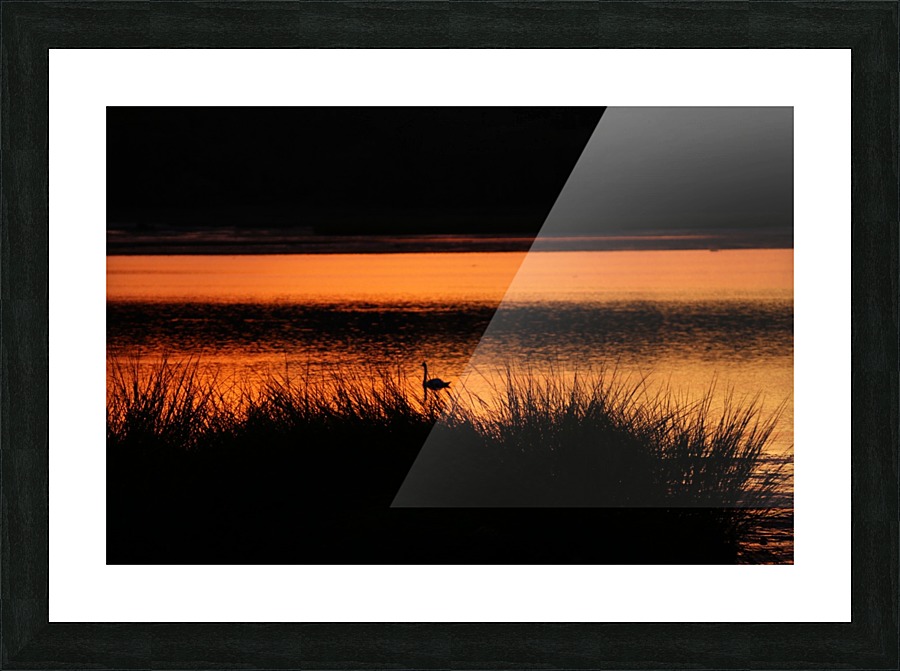 Sunset_Shadow Picture Frame print