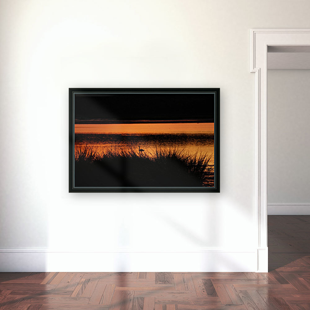 Sunset_Shadow Reproduction