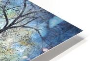 Tree study no.3 HD Metal print