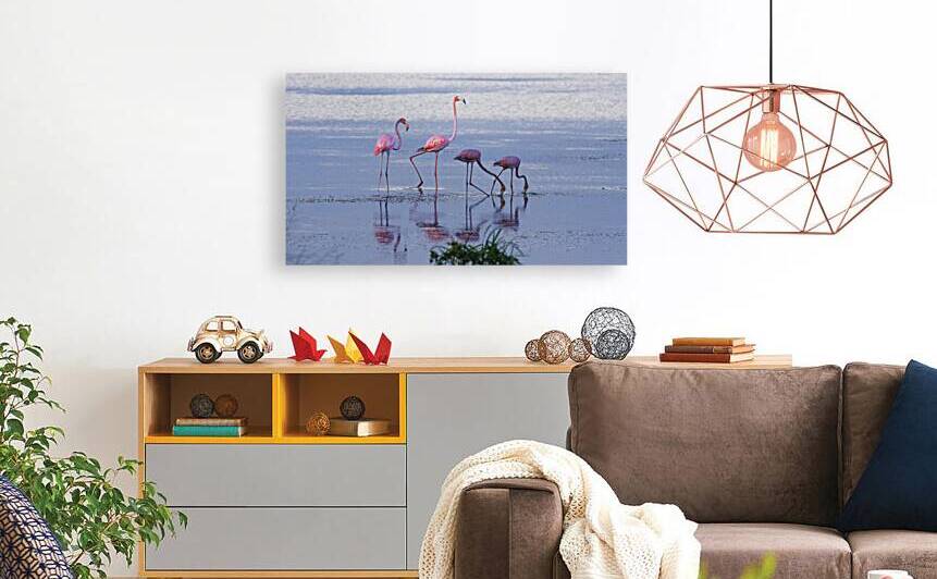 Flamingos on Mosquito Lagoon 3 by Roy von Dohlen Photography