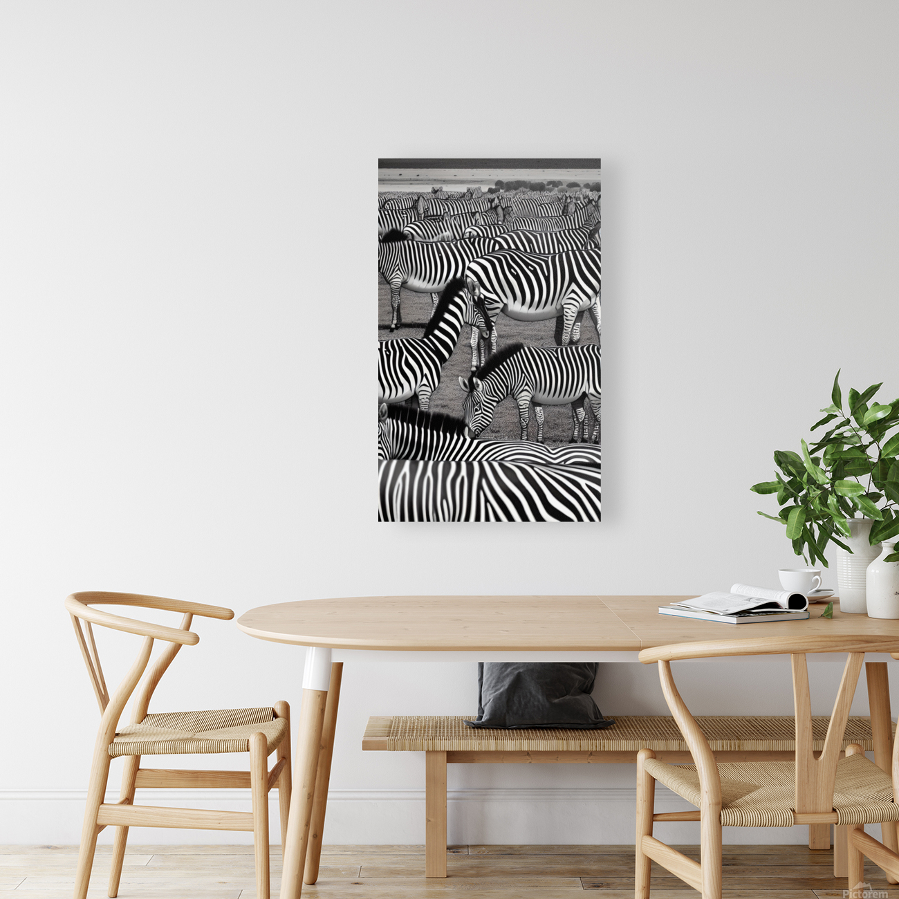 ZEBRA Reproduction
