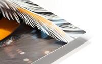 EYE HD Metal print
