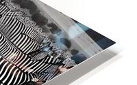 ZEBRA HD Metal print