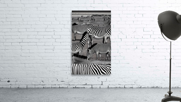 ZEBRA Wall Preview