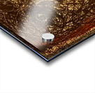 20240320 070822 She sees through web Acrylic print