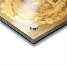 20231118 205123 1 Insight Acrylic print