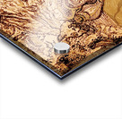 20240326 143918 complicated 4 points of view Acrylic print