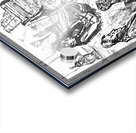 20240614 202307 1 Virtuosos Acrylic print