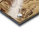 20250223 194822 Tuned in tuned out Acrylic print