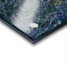 20240114 095304 complicated sight Acrylic print