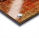 20221120 211104 group in the woods Acrylic print